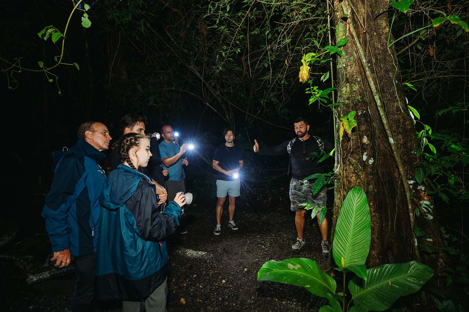 Caminata guiada: Explorando la flora nocturna