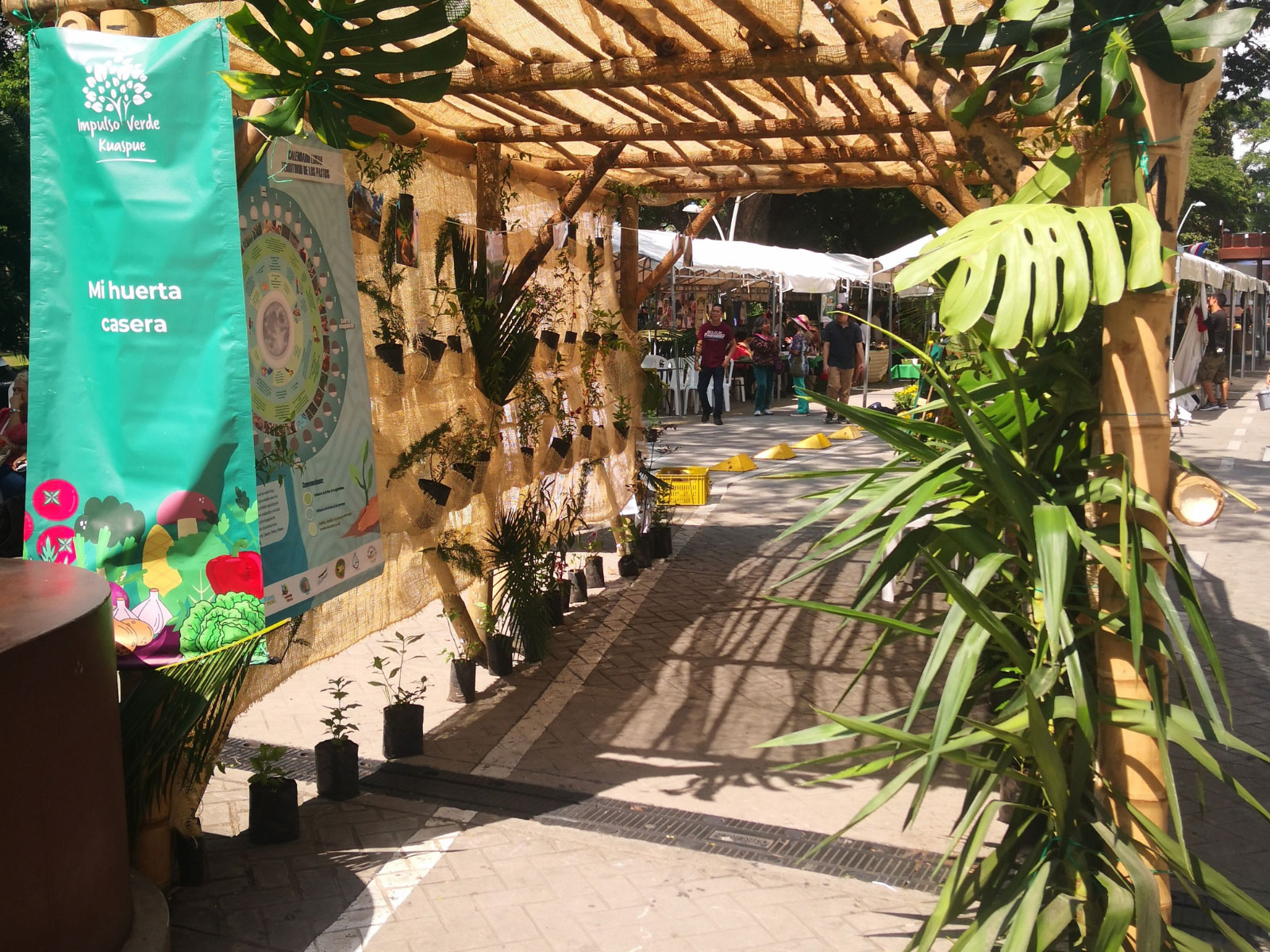 Festival de la Biodiversidad 2026